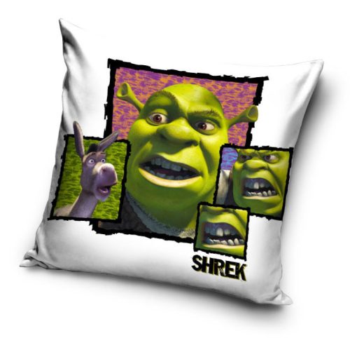 Shrek Fury párnahuzat 40x40 cm Velúr