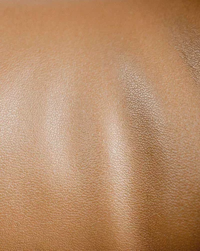 Waldi tacskó asztali lámpa 48 cm Happy Lamps limitált kiadás