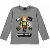 Minecraft Alex Adventure Grey gyerek hosszú ujjú póló, felső 6 év / 116 cm
