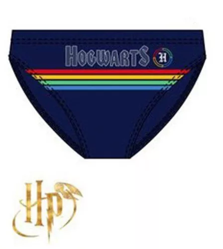 Harry Potter Hogwarts Dark gyerek fürdőnadrág, úszó 10 év / 140 cm