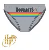 Harry Potter Hogwarts Light gyerek fürdőnadrág, úszó 6 év / 116 cm