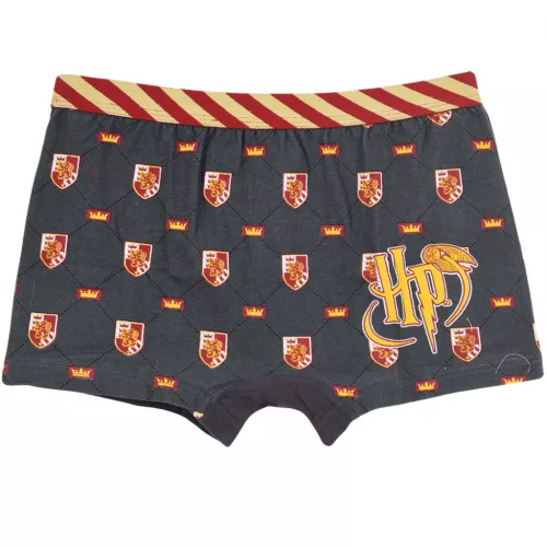 Harry Potter Lion gyerek boxeralsó 2 darab/csomag 6 - 8 év / 116 - 128 cm