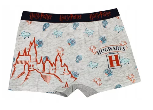 Harry Potter Castle gyerek boxeralsó 2 darab/csomag 10 - 12 év / 140 - 152 cm