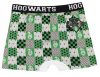Harry Potter House Pride gyerek boxeralsó 2 darab/csomag 10 - 11 év / 140 - 146 cm