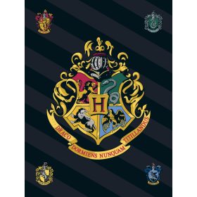 Harry Potter Black polár takaró 100x140cm
