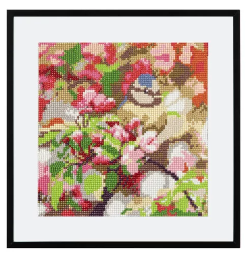 Állatos Bird gyémántszemes kirakó 30x30 cm