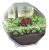 Mini Bear terrárium Clementoni