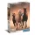 Lovas Running 1000 db-os puzzle Clementoni