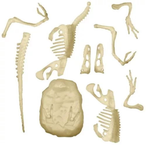 Világító velociraptor Archeo Fun régészeti készlet Clementoni