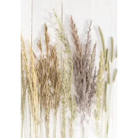 Természet Golden Harvest A/4 gumis mappa