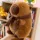 Capibara Capybara sálas plüssfigura 20 cm