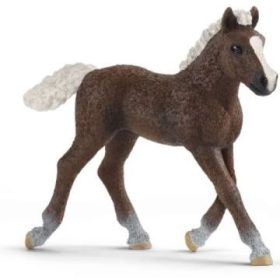 Schleich: Schwarzwaldi csikó figura 13899