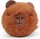 Ty Beanie Bouncers pattogó plüss figura CAPYBARA - CEDAR