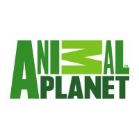 Animal Planet